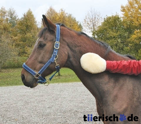 Pflegehandschuh Lammfell Pferde Bild 2