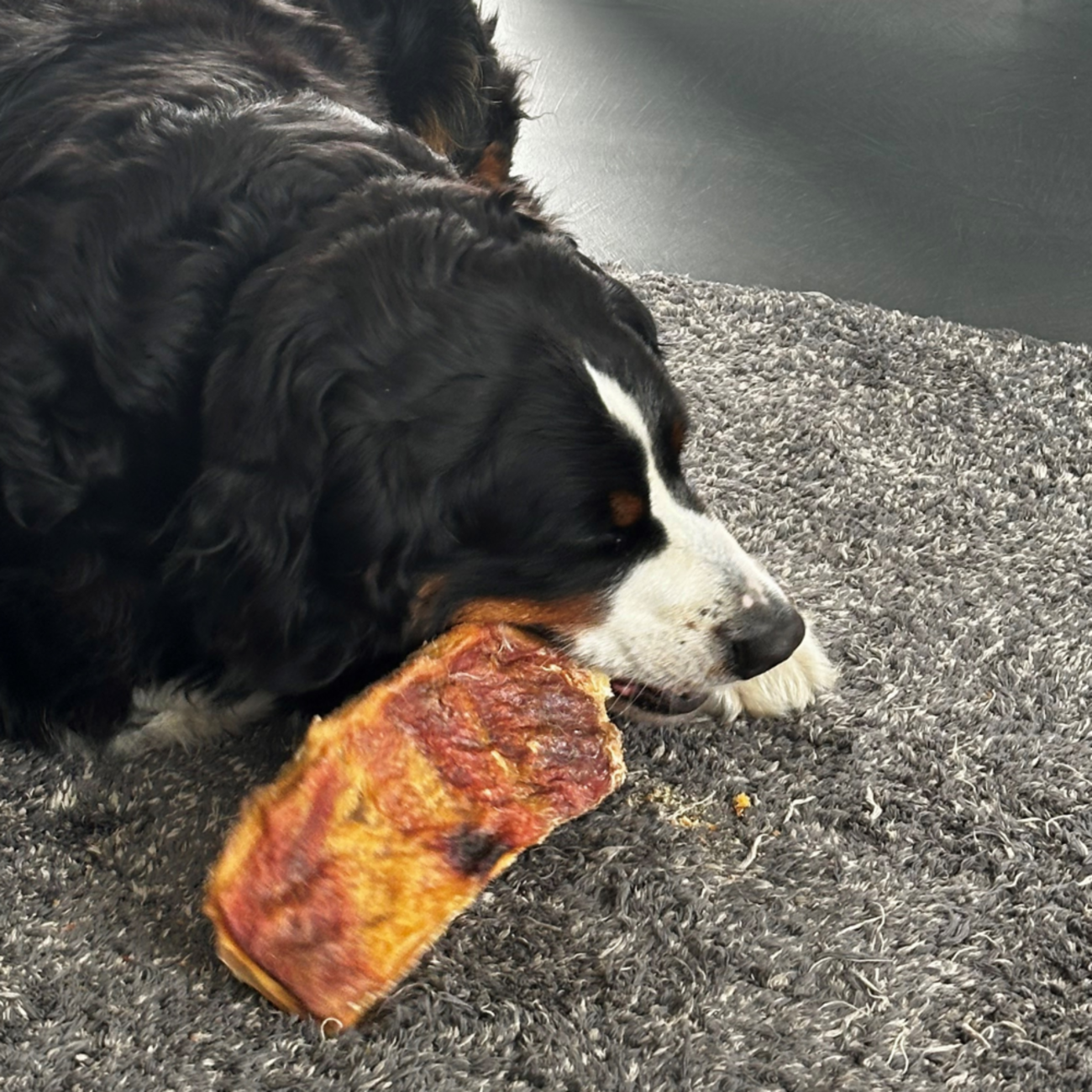 Kawenzmänner für Hunde Bild 2