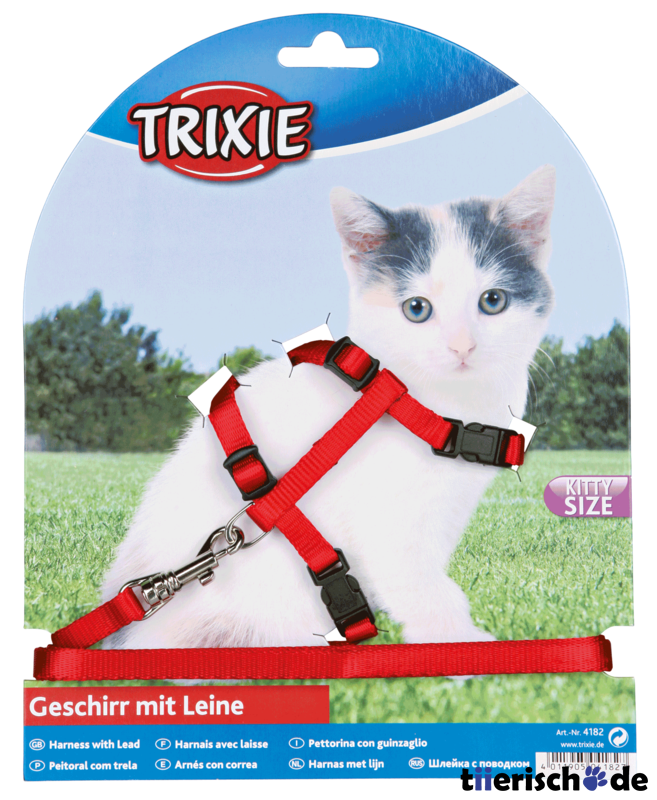 Katzengeschirr mit Leine für Kitten Bild 7