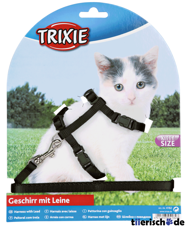 Katzengeschirr mit Leine für Kitten Bild 8
