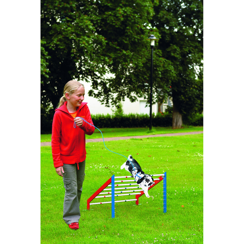 Kaninchen Hopp Bunny Sport 2 Bild 2