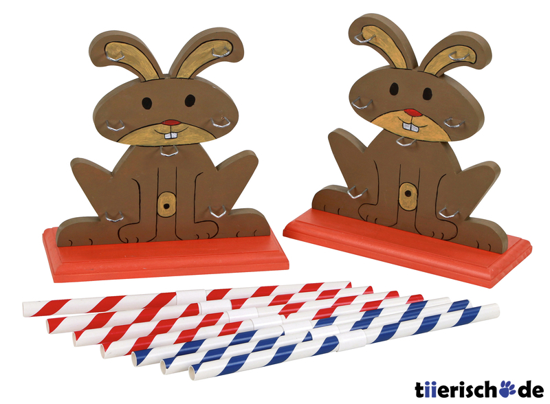 Kaninchen Hürde Agility Bild 3