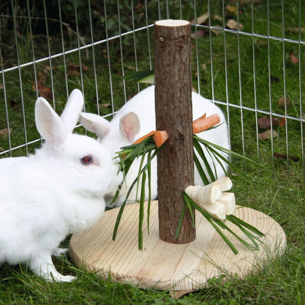 Kaninchenbaum Futterbaum Nature Bild 3