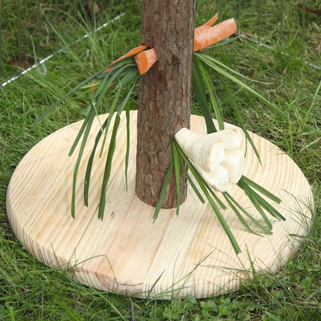 Kaninchenbaum Futterbaum Nature Bild 4