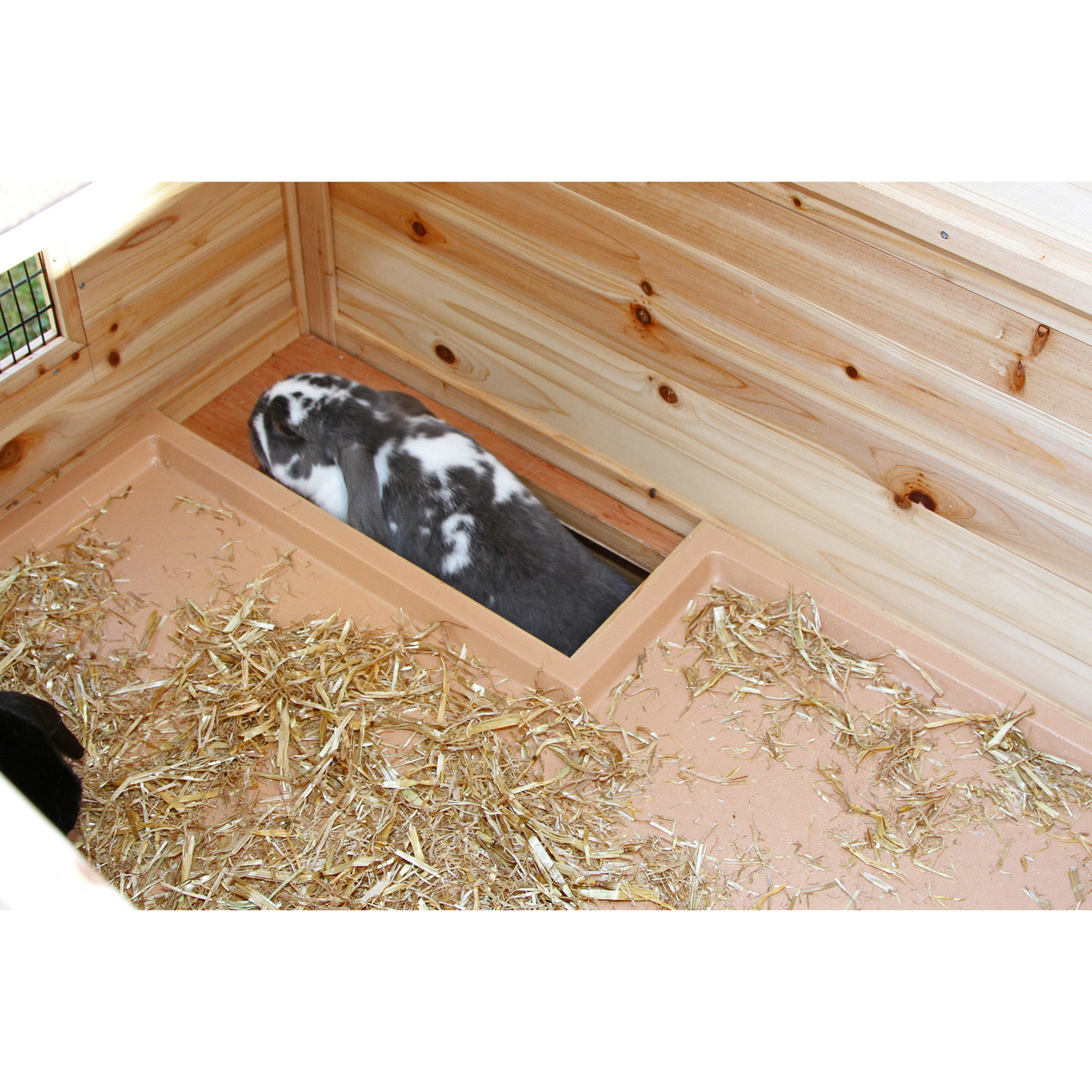 Kaninchenstall Tyrol Alpin Bild 7