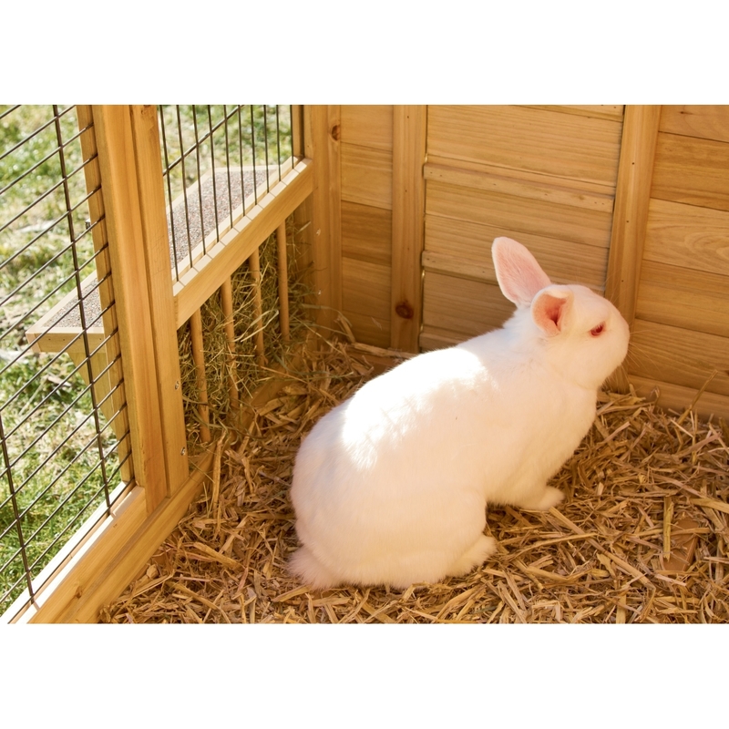 Kaninchenstall XXL Plus Bild 5