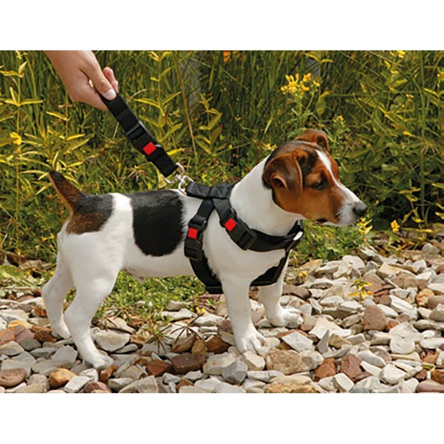 Karlie Autosicherheitsgeschirr Bild 5