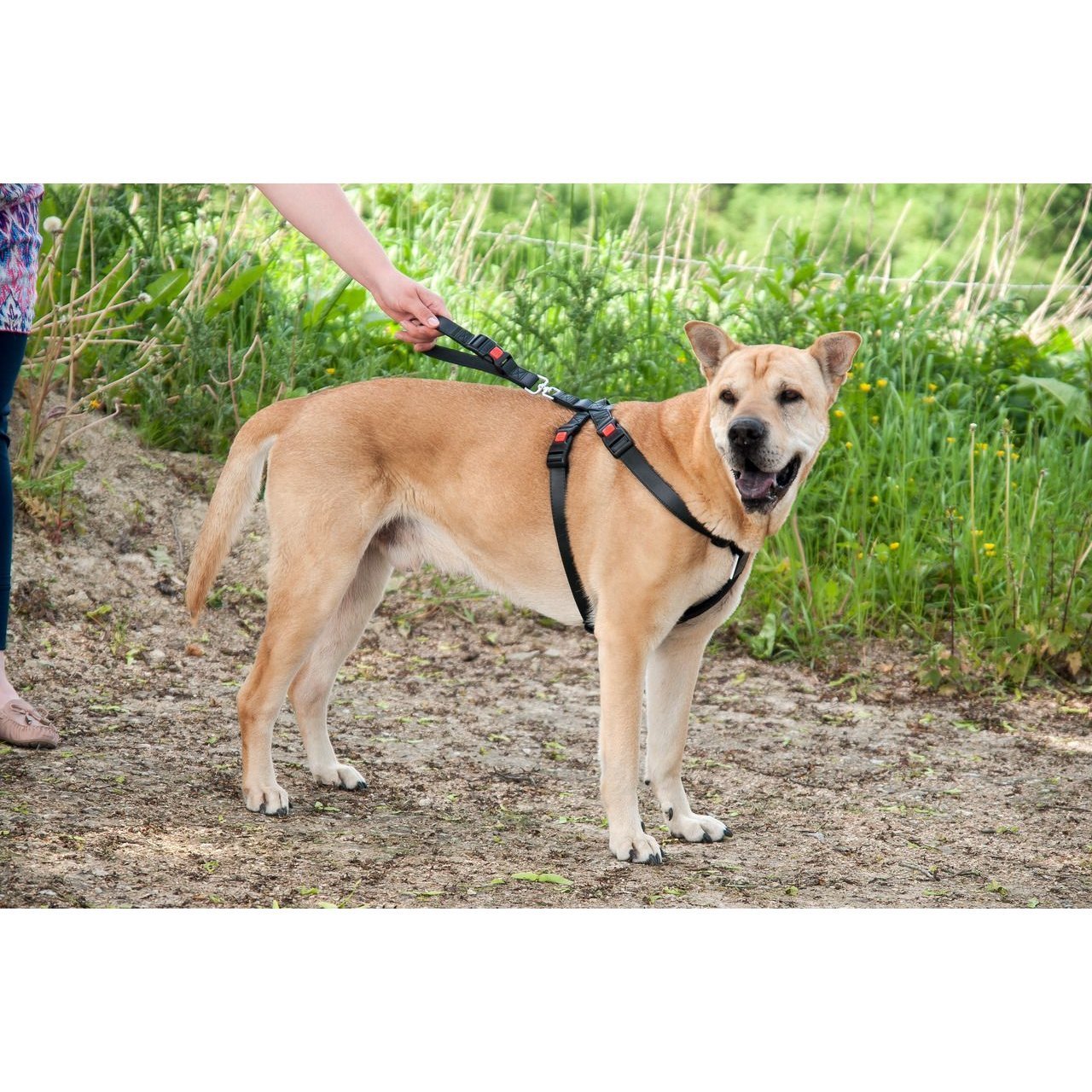 Karlie Flamingo Autosicherheitsgeschirr Bild 2