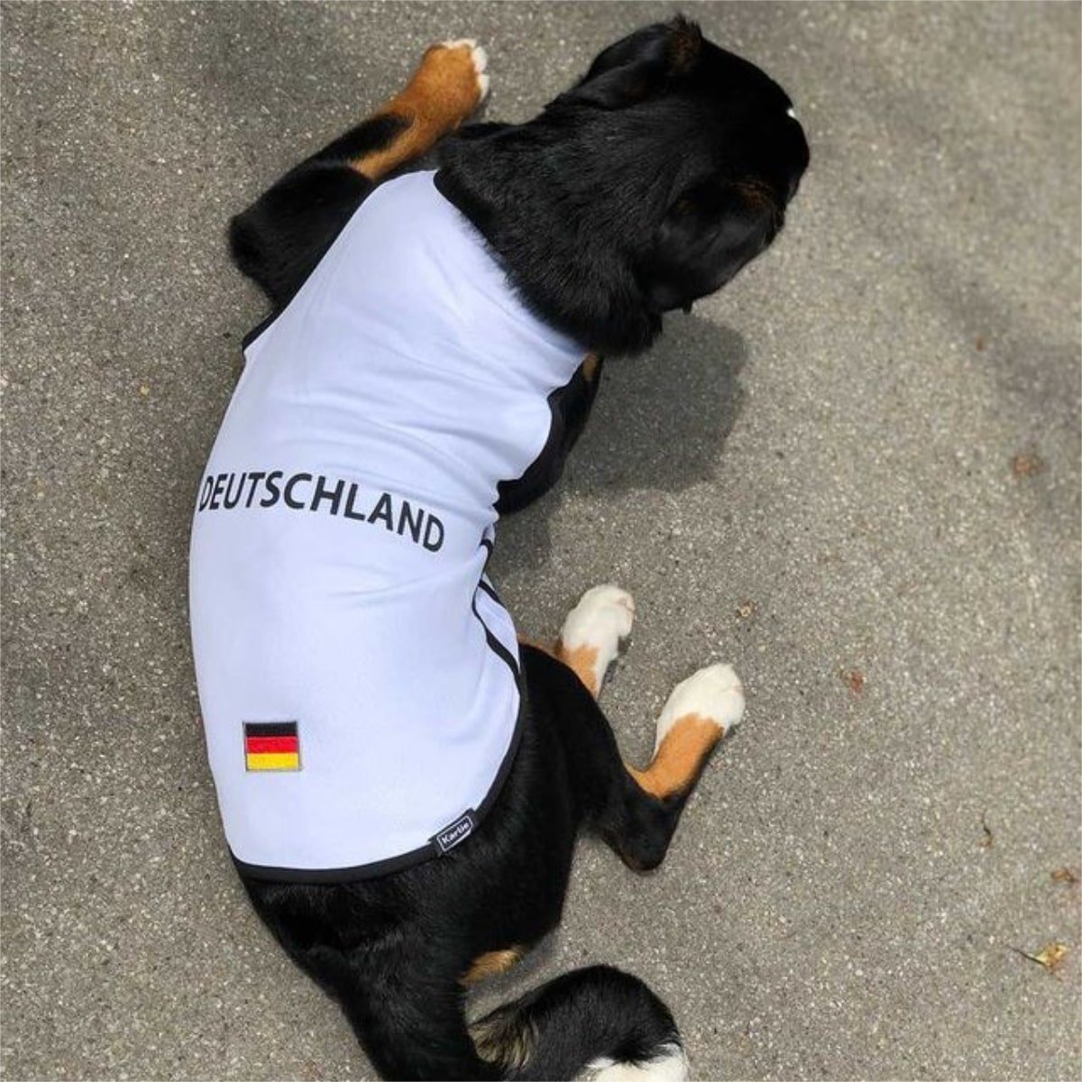 Fußball EM Hundetrikot Bild 7