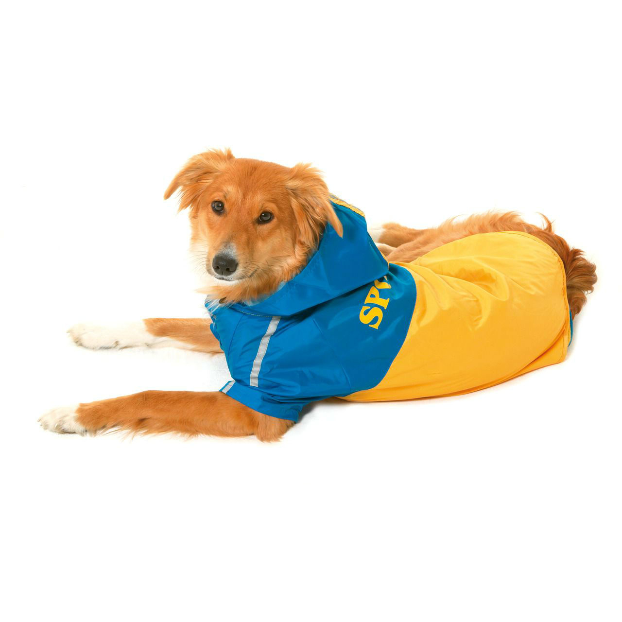 Karlie Hunde Regenmantel Sportiv Bild 2