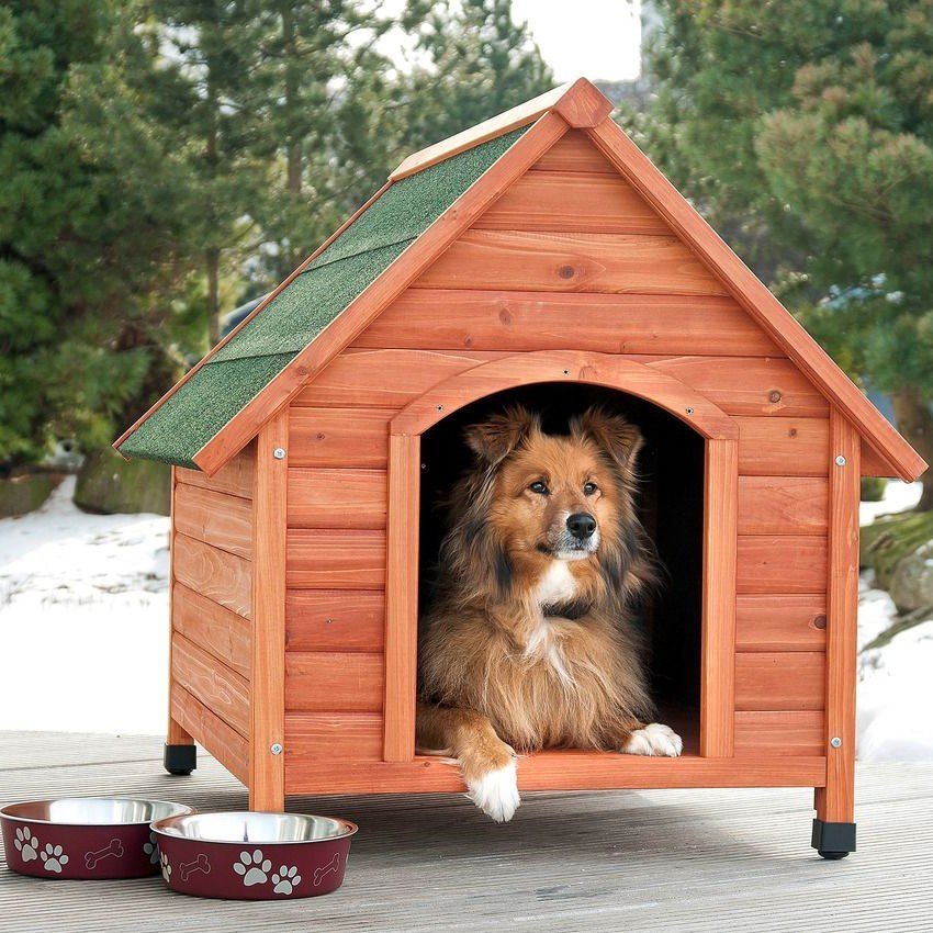 Hundehütte Ponto Bild 2