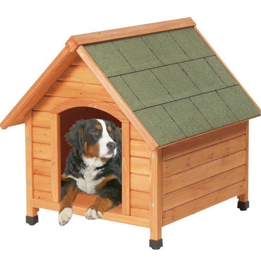 Hundehütte Ponto Bild 4