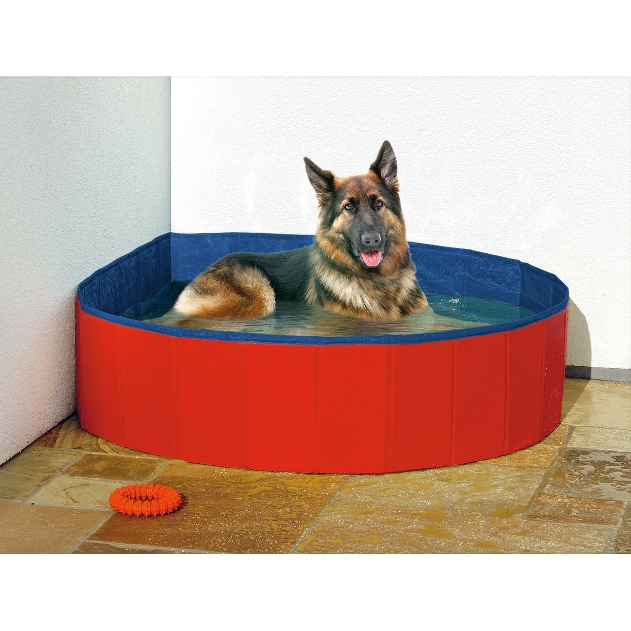 Hundepool Doggypool Bild 6