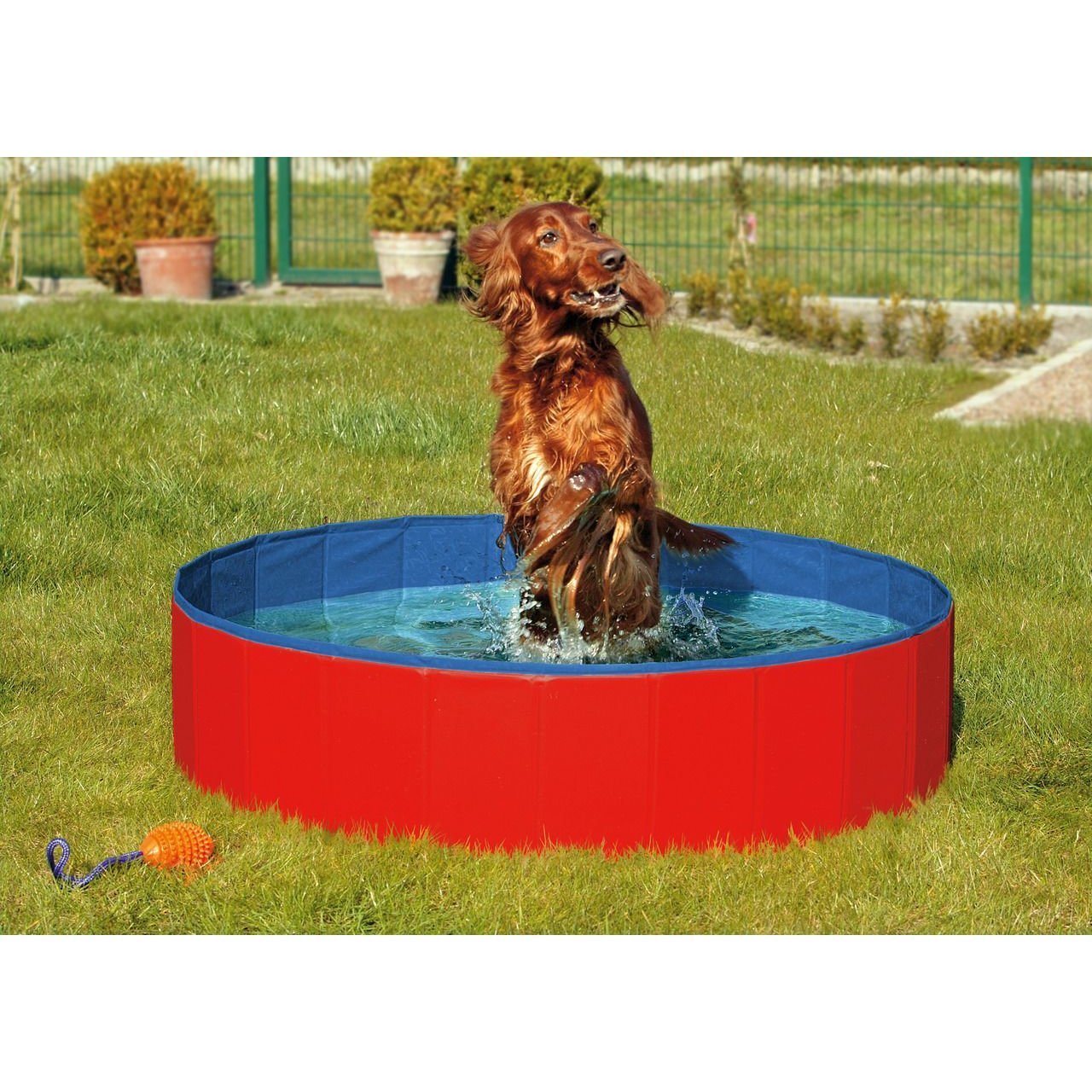 Hundepool Doggypool Bild 7