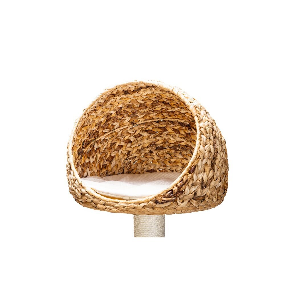 Kratzbaum Banana Leaf 3 Bild 5