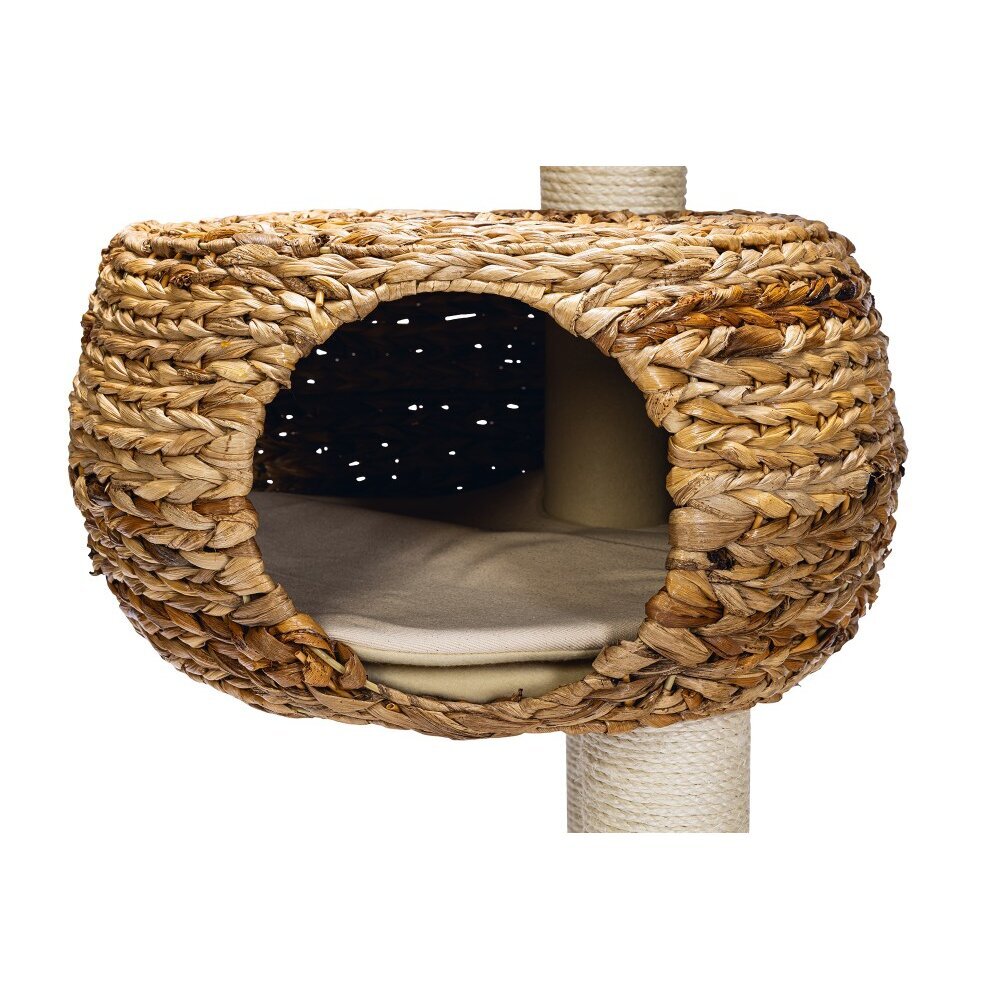 Kratzbaum Banana Leaf 3 Bild 4