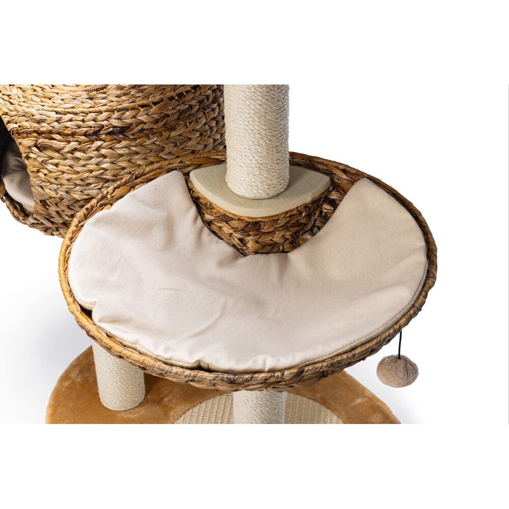 Kratzbaum Banana Leaf 3 Bild 3