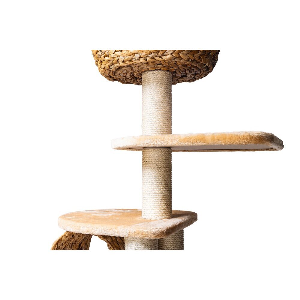 Kratzbaum Banana Leaf 6 Bild 7