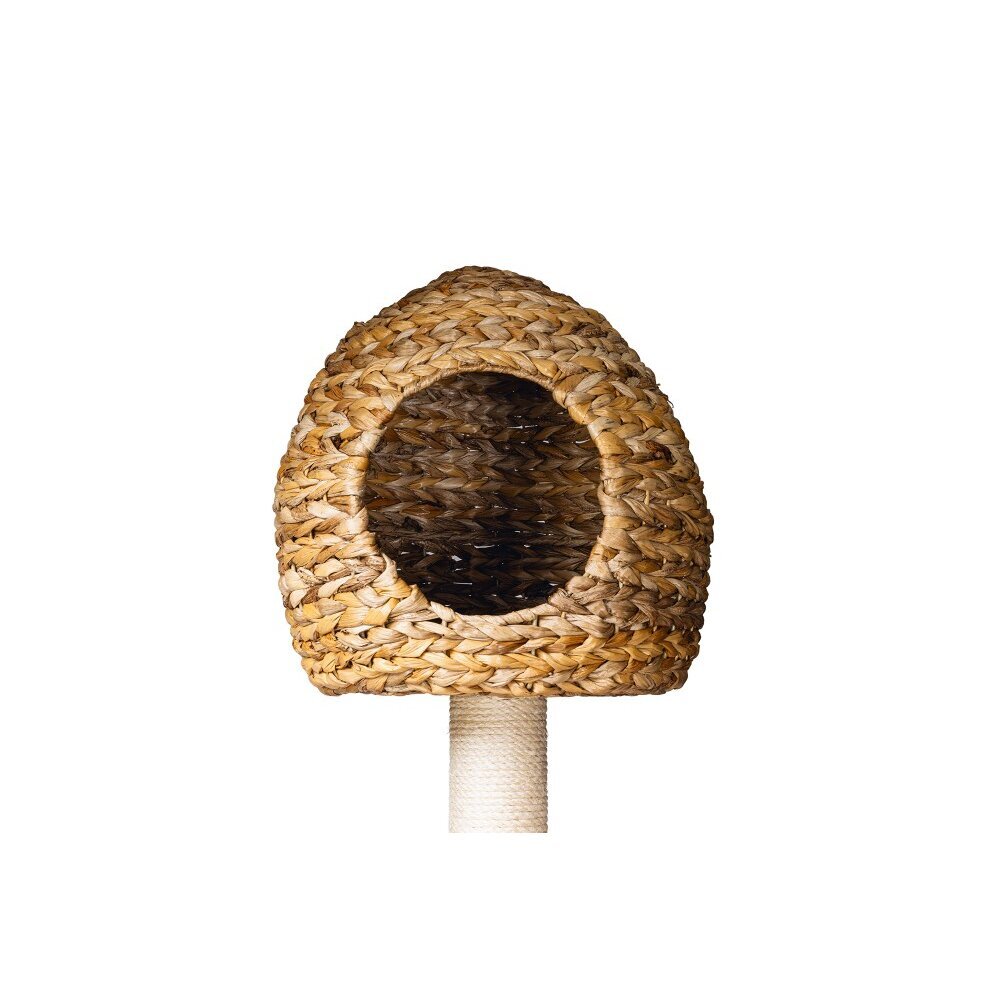 Kratzbaum Banana Leaf 6 Bild 11