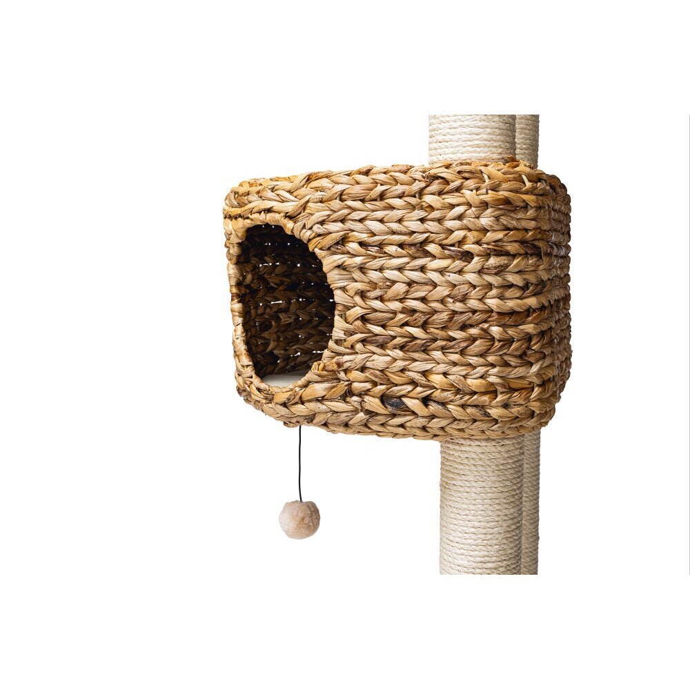 Kratzbaum Banana Leaf 6 Bild 12