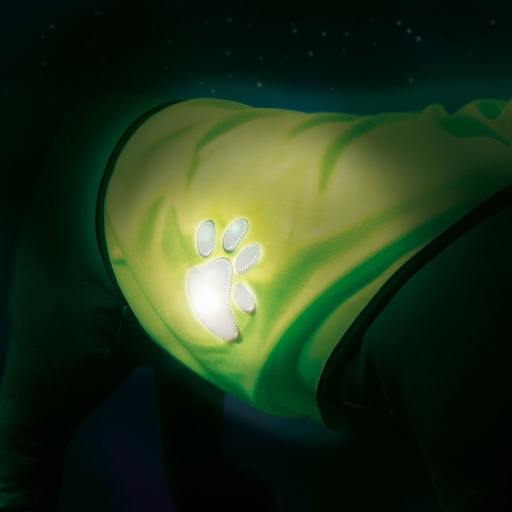 Night Walk Sicherheitsweste für Hunde Bild 8