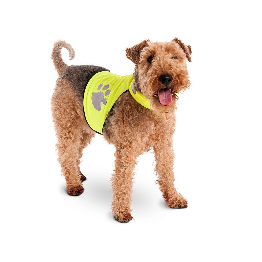 Night Walk Sicherheitsweste für Hunde Bild 4