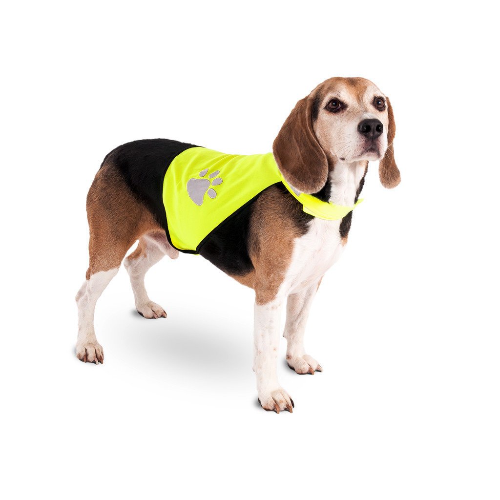 Night Walk Sicherheitsweste für Hunde Bild 3