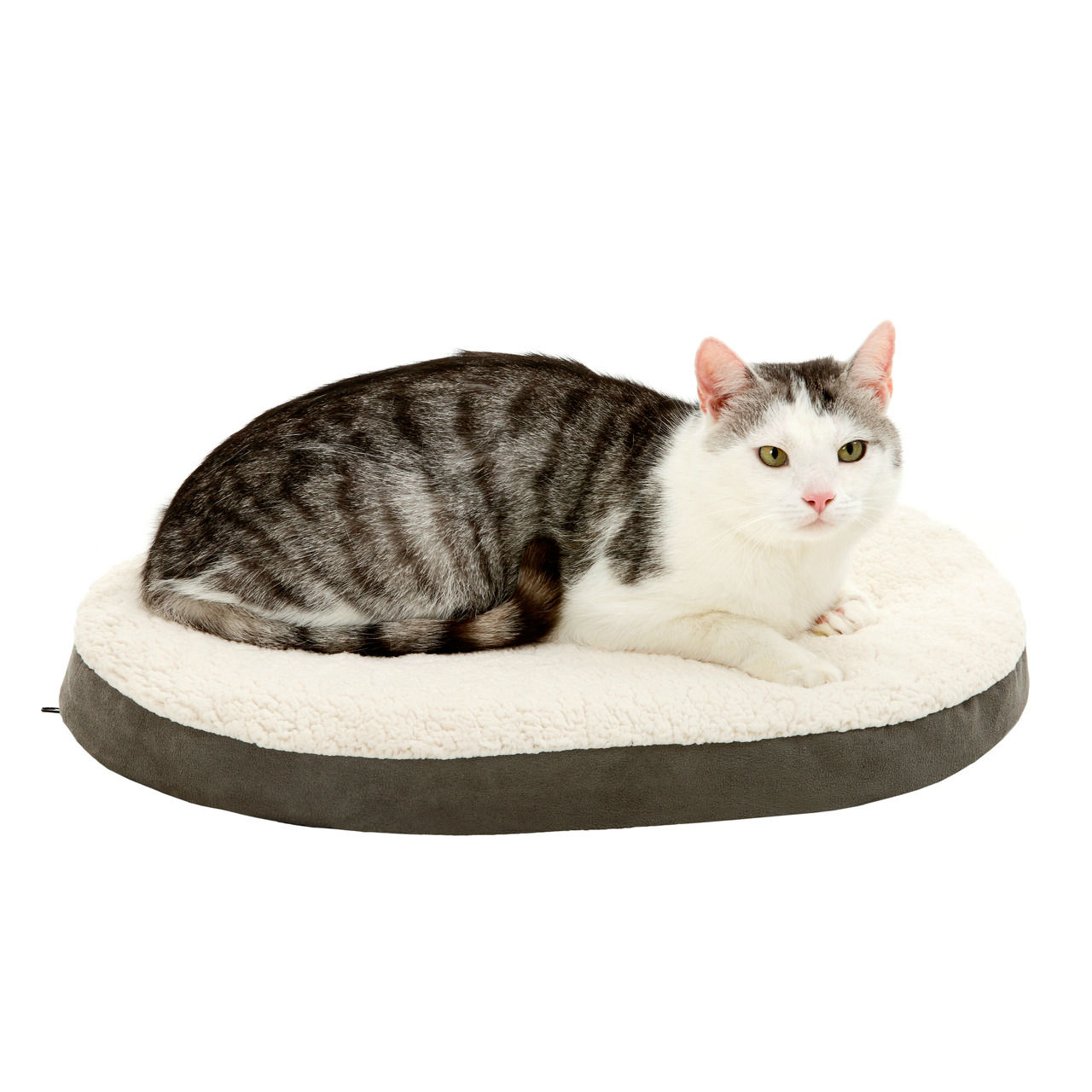 Karlie Orthobett Mini für Hunde und Katzen Bild 3