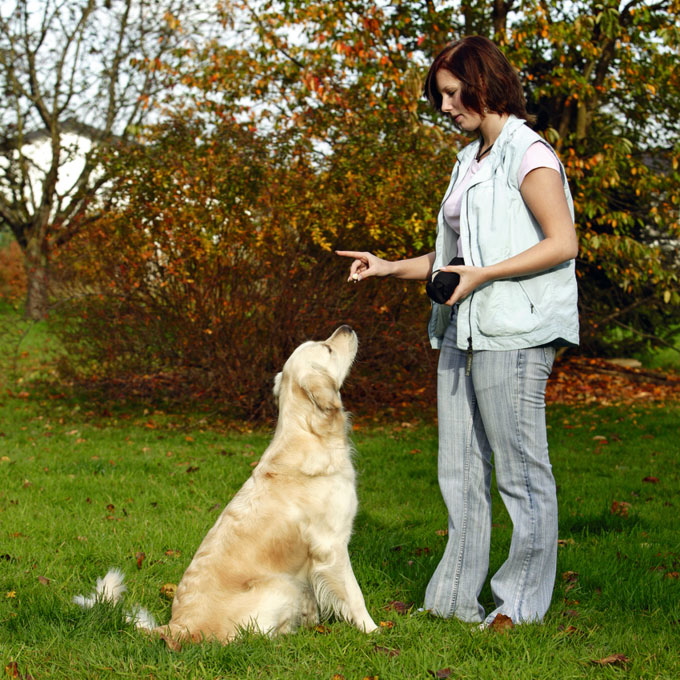 Karlie Snack-Dummy Bild 2