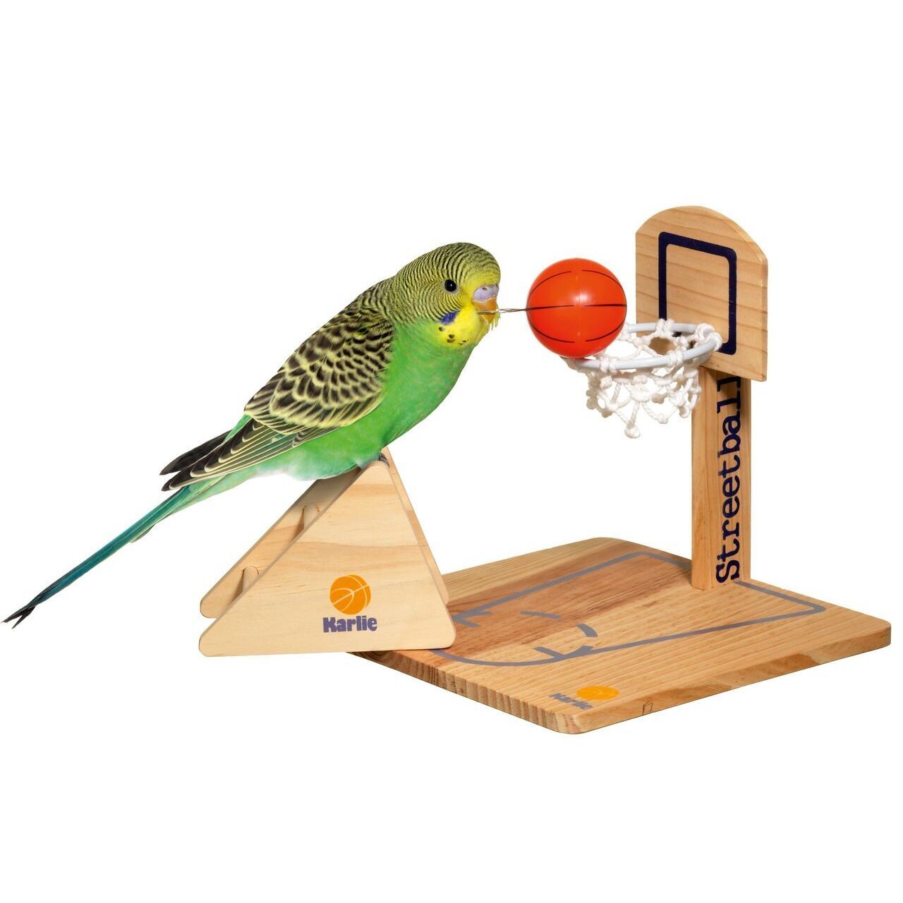 Streetball Vogelspielzeug Bild 1