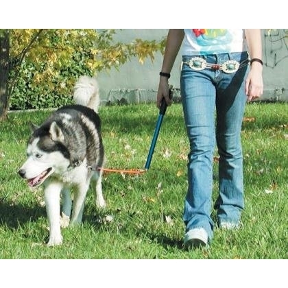 Karlie Walky Dog Fahrradhalter Fahrradleine für Hunde Bild 4