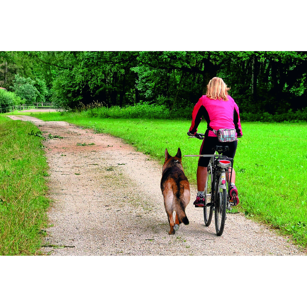 Karlie Walky Dog Fahrradhalter Fahrradleine für Hunde Bild 2