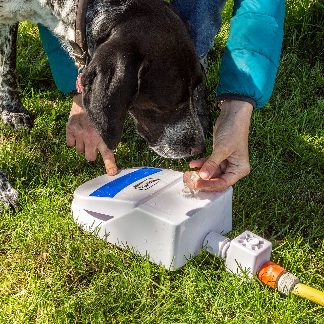 Karlie Wasserfontäne Splashy Bild 6