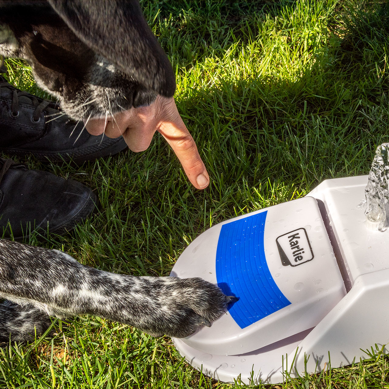 Karlie Wasserfontäne Splashy Bild 7