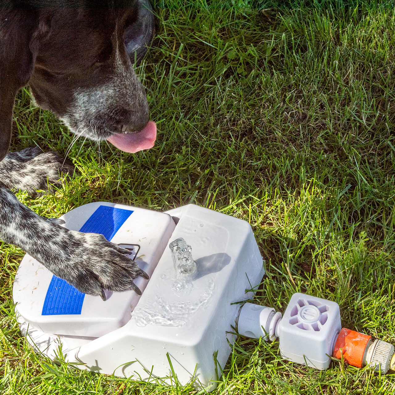 Karlie Wasserfontäne Splashy Bild 2