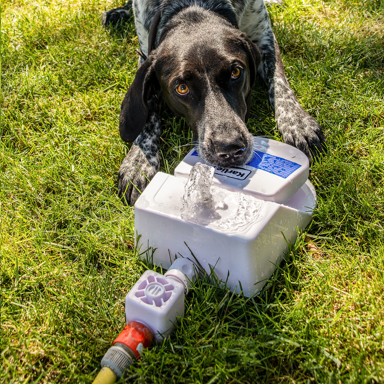 Karlie Wasserfontäne Splashy Bild 10