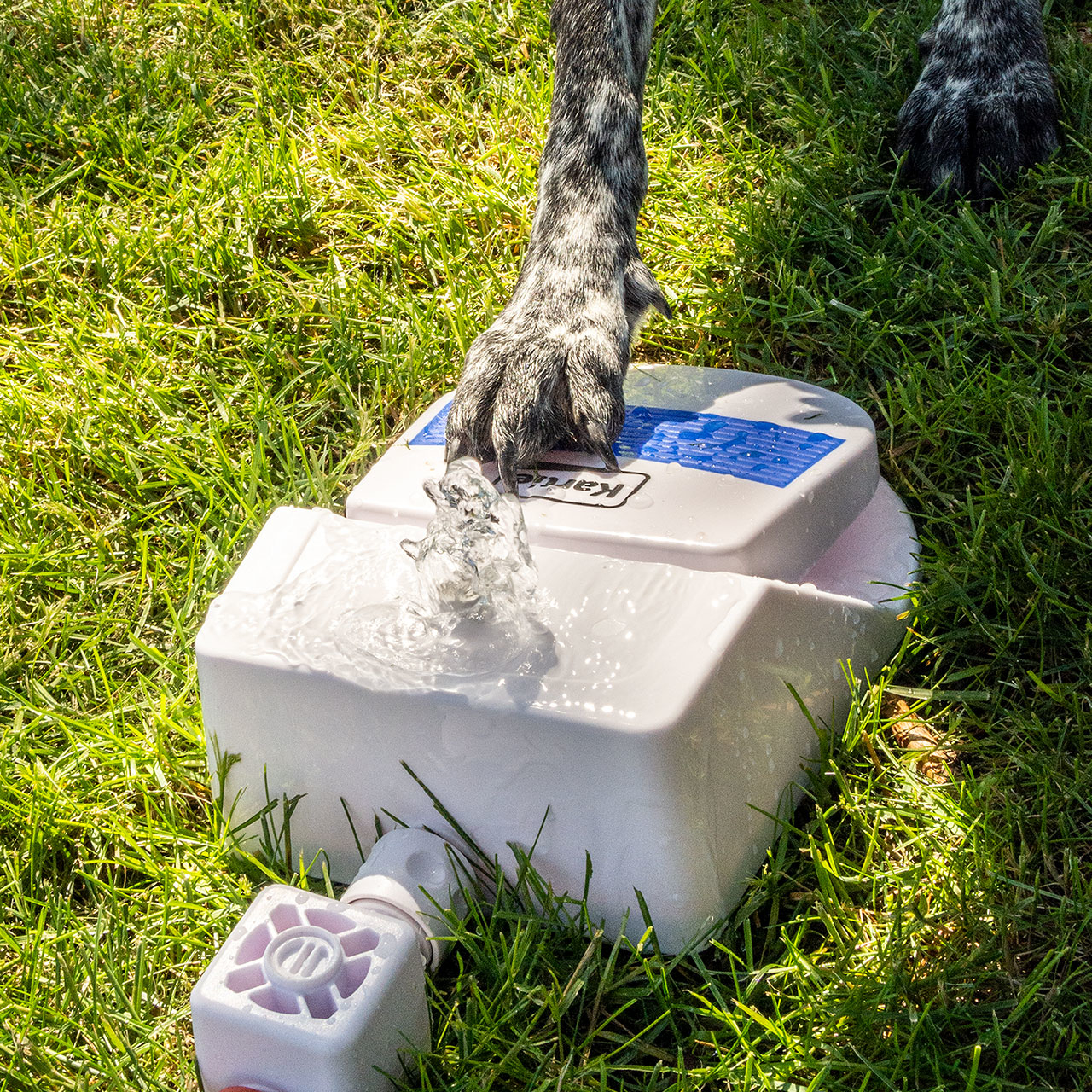 Karlie Wasserfontäne Splashy Bild 8