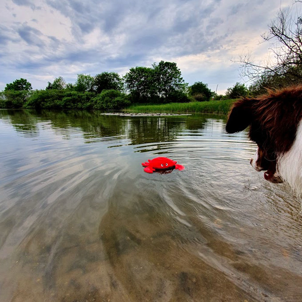 Karlie Wasserspielzeug Hundespielzeug aus Neopren Bild 8