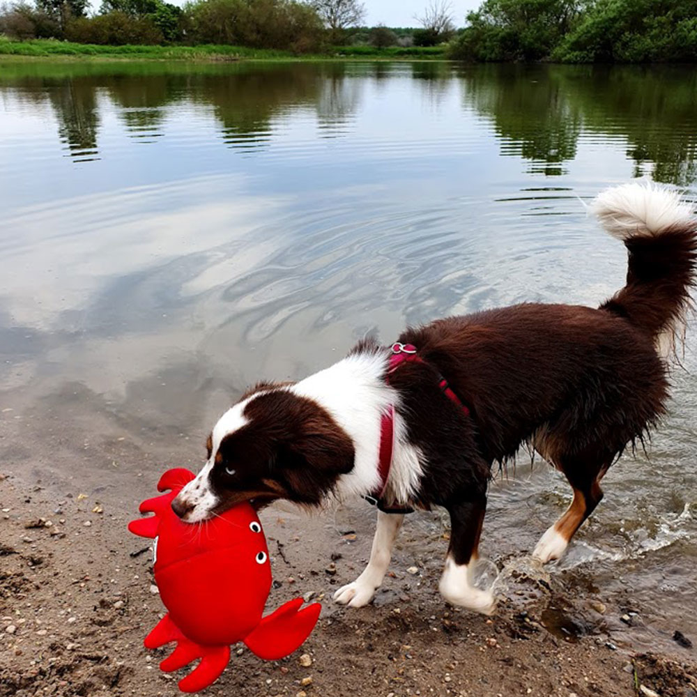 Karlie Wasserspielzeug Hundespielzeug aus Neopren Bild 10