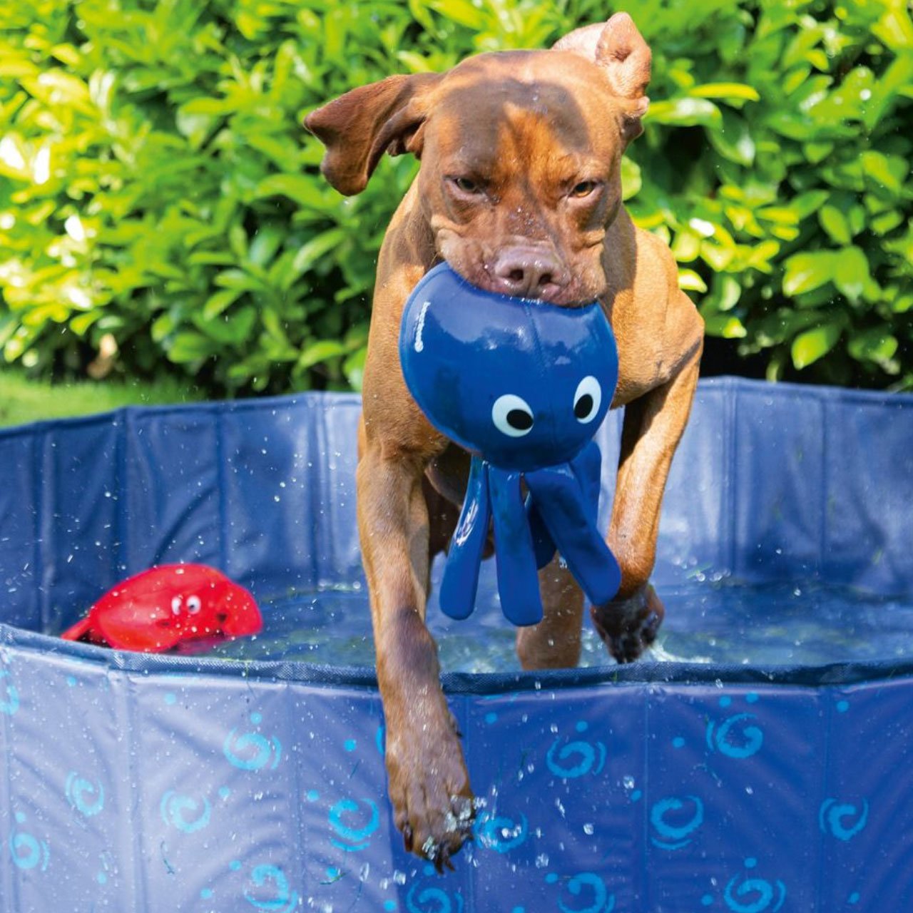 Karlie Wasserspielzeug Hundespielzeug aus Neopren Bild 7