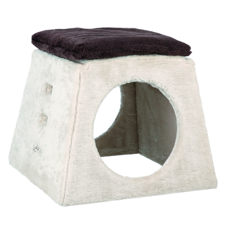 Katzen Agility Balancier-Set Bild 3