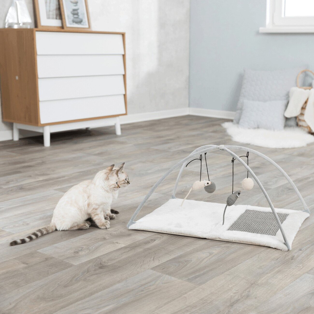 Katzen Kratzmatte Spielbogen für Katzen Bild 6