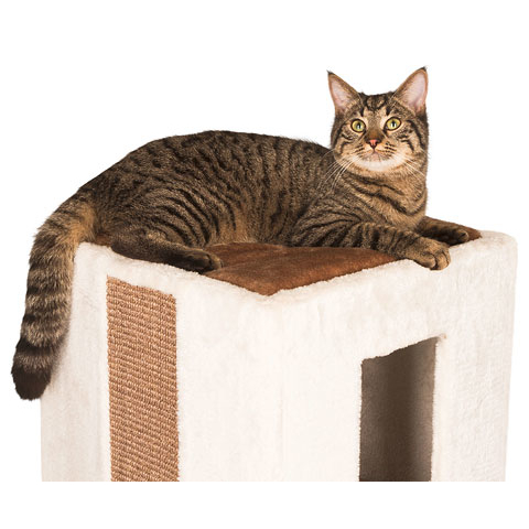 Katzen Kratztonne Galina Bild 3