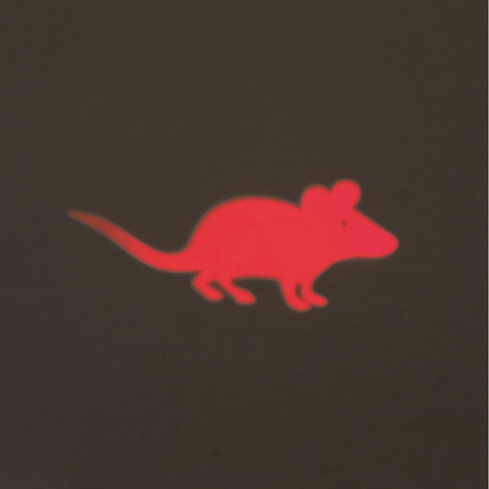 Katzen LED Pointer Catch the Light, Maus Bild 2