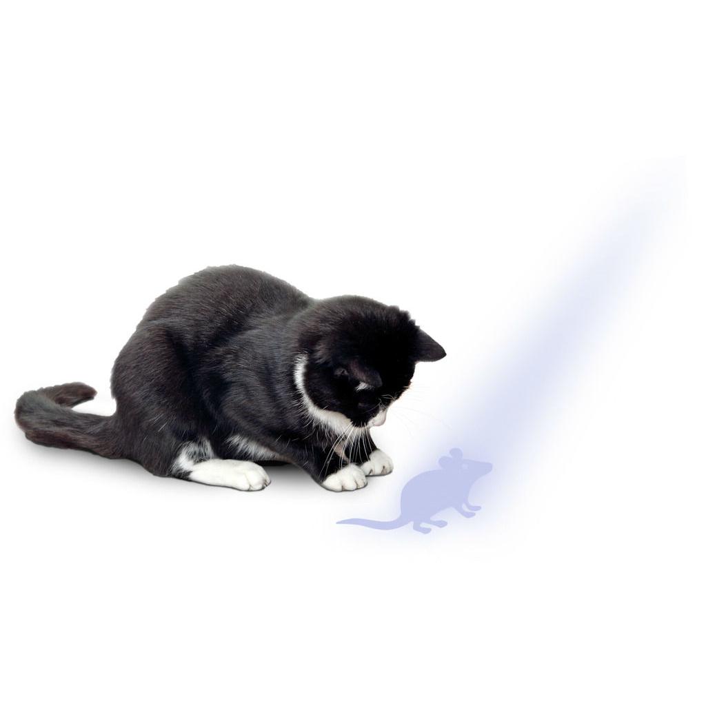 Katzen LED Pointer mit Maus Motiv Bild 3