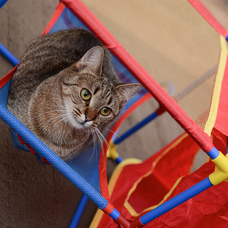 Katzen Spielplatz Cat Play Center Bild 3