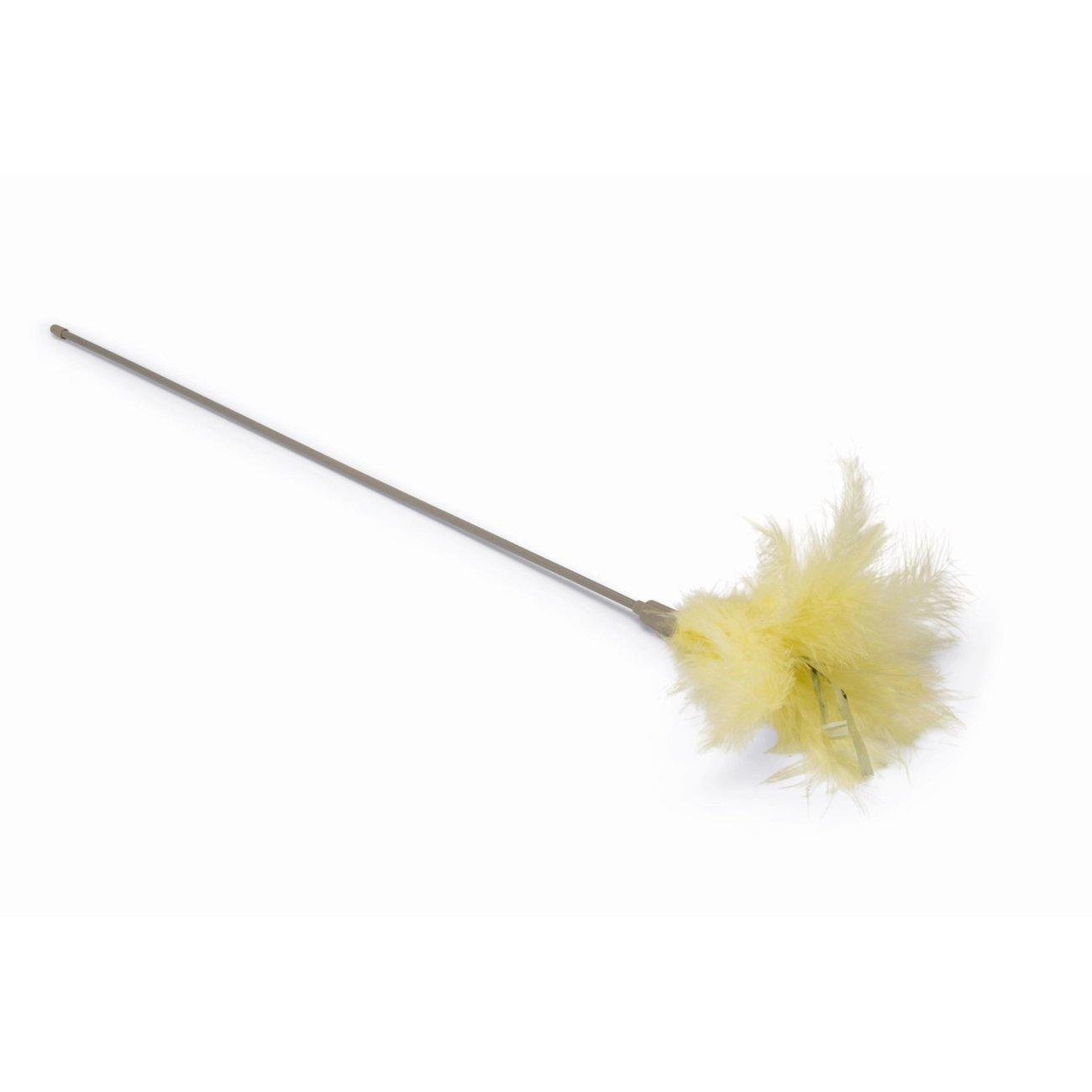 Katzenangel Orry Bild 1