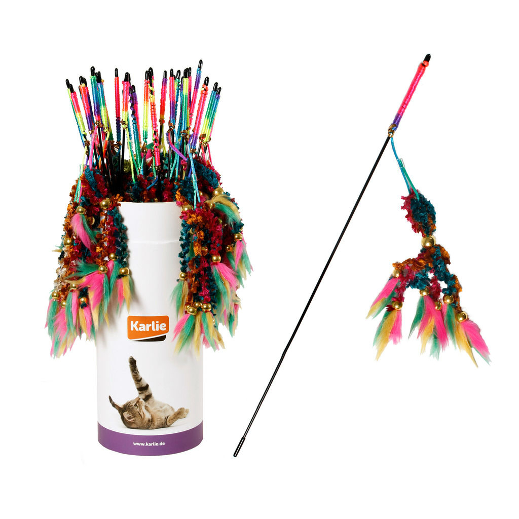 Katzenangel Samtrute Bild 1