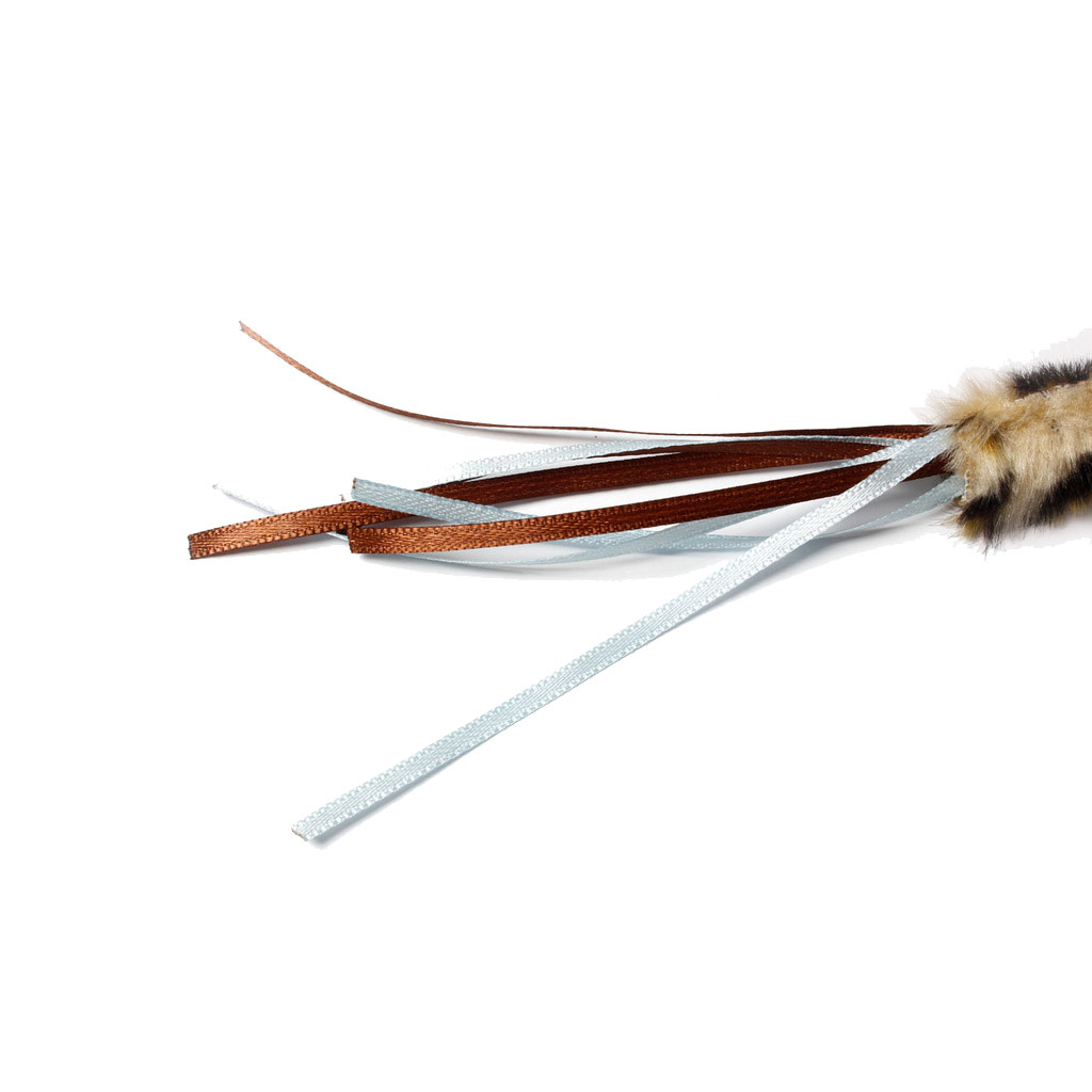 Katzenangel Safarirute Bild 2