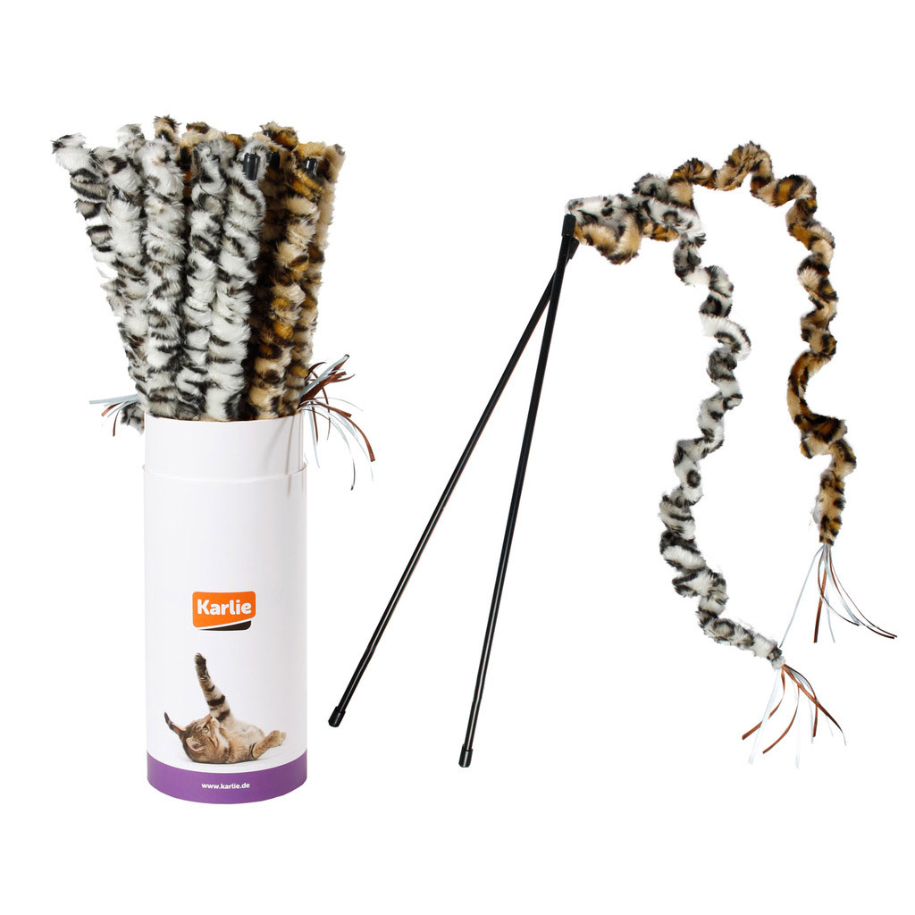 Katzenangel Safarirute Bild 1